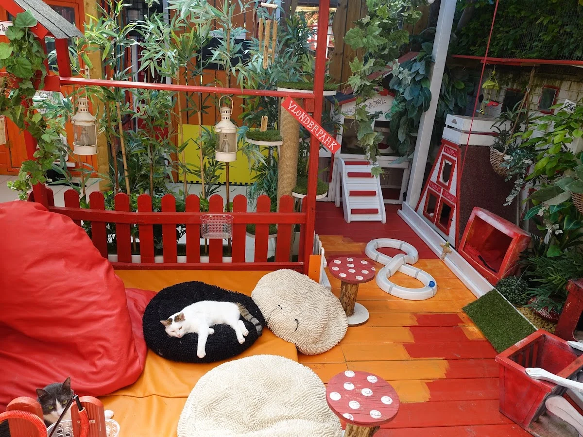 Stichting Villa Vacht - 6