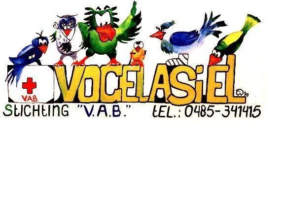Stichting Vogelasiel Bergen-L - 2