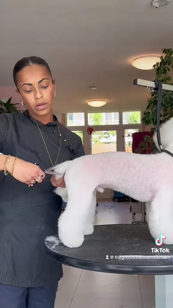 The Groom Salon🐩 - 2