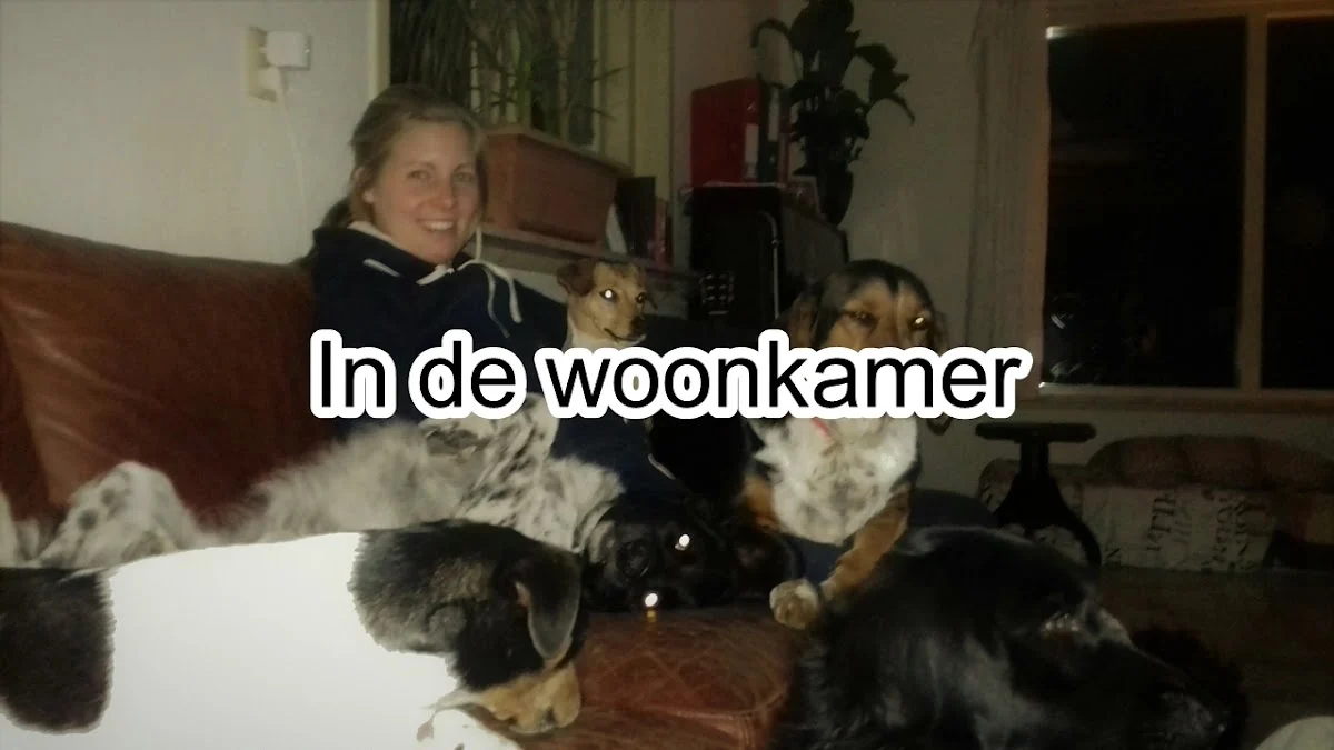 TheDogwalker.nl - 3
