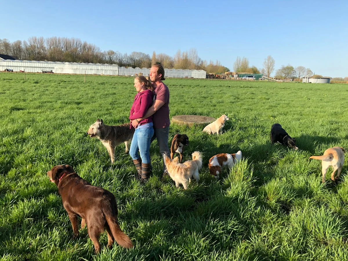 TheDogwalker.nl