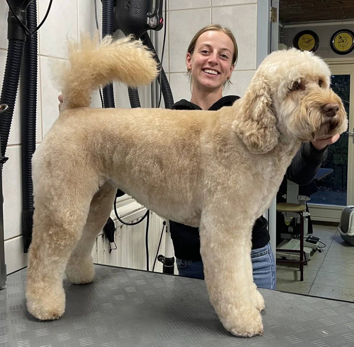 Trimsalon Braaf & Bubbels🐩