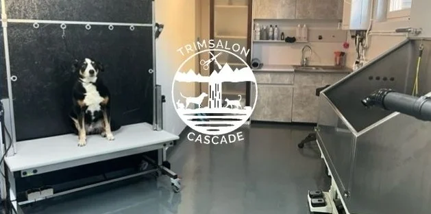 Trimsalon Cascade - 2