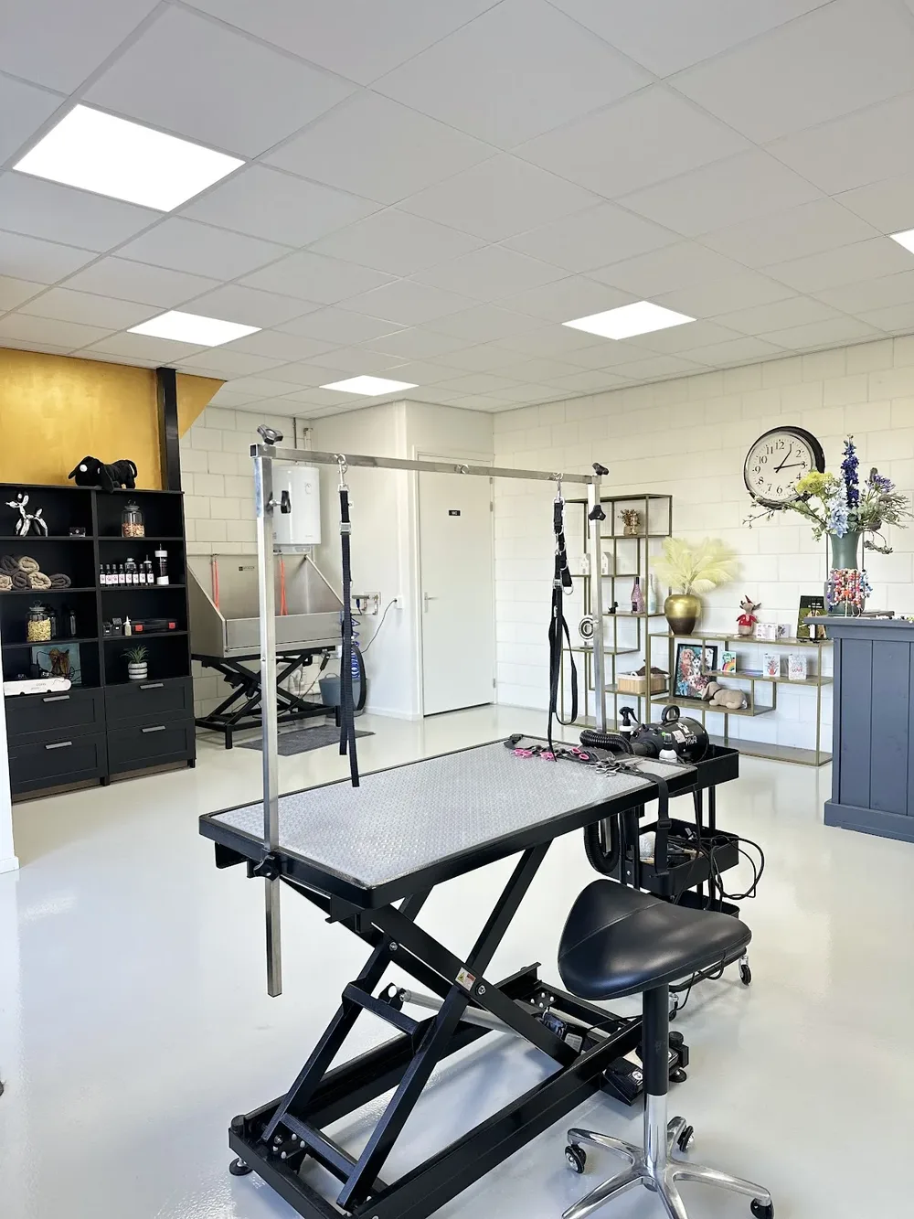 Trimsalon Fem - 2