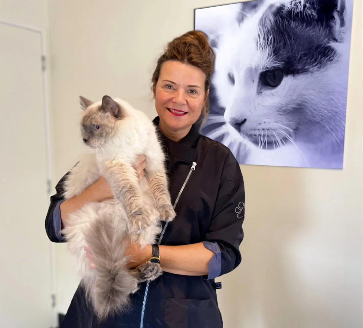 Trimsalon Kattelijntje - Kattentrimsalon