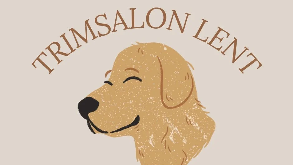 Trimsalon Lent