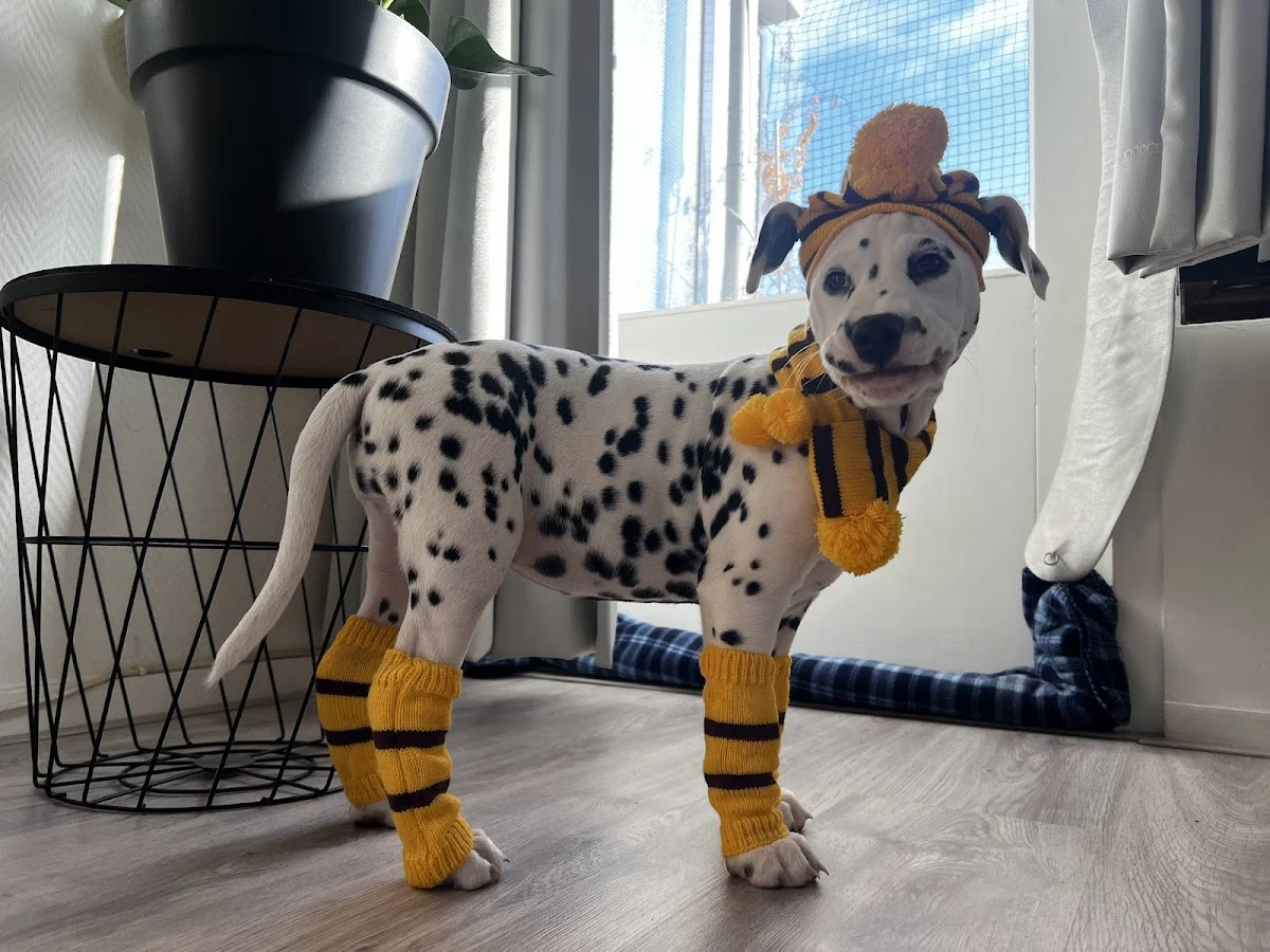 van de Honingvallei