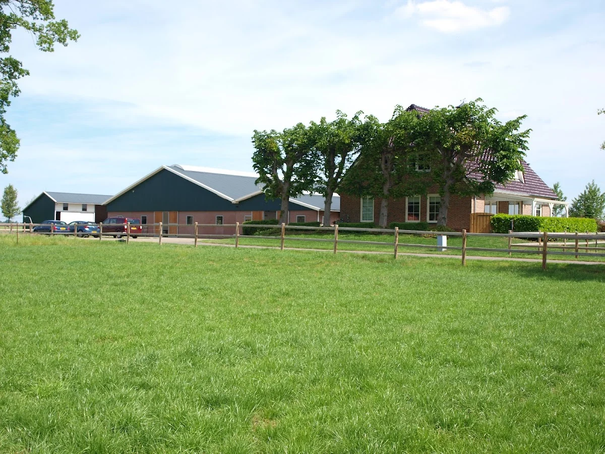 VDS-Paarden