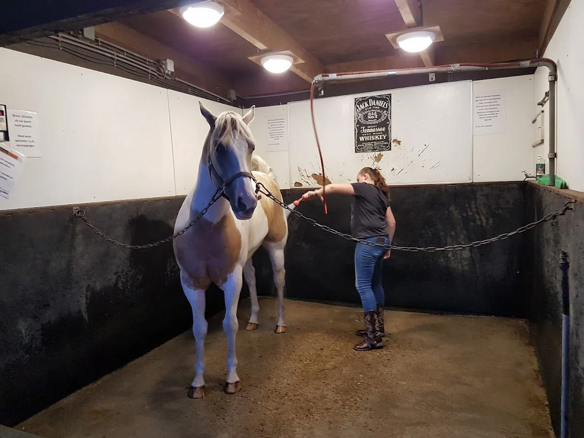 Ve-Ca Stables