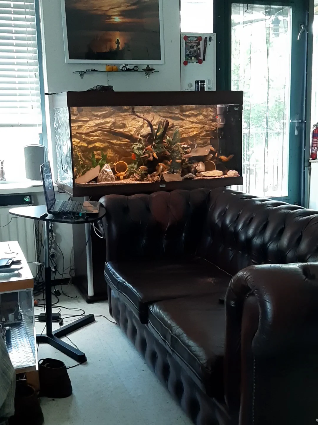 Verloop Aquariumspeciaalzaak - 3