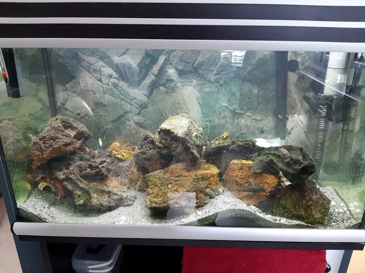 Verloop Aquariumspeciaalzaak - 5