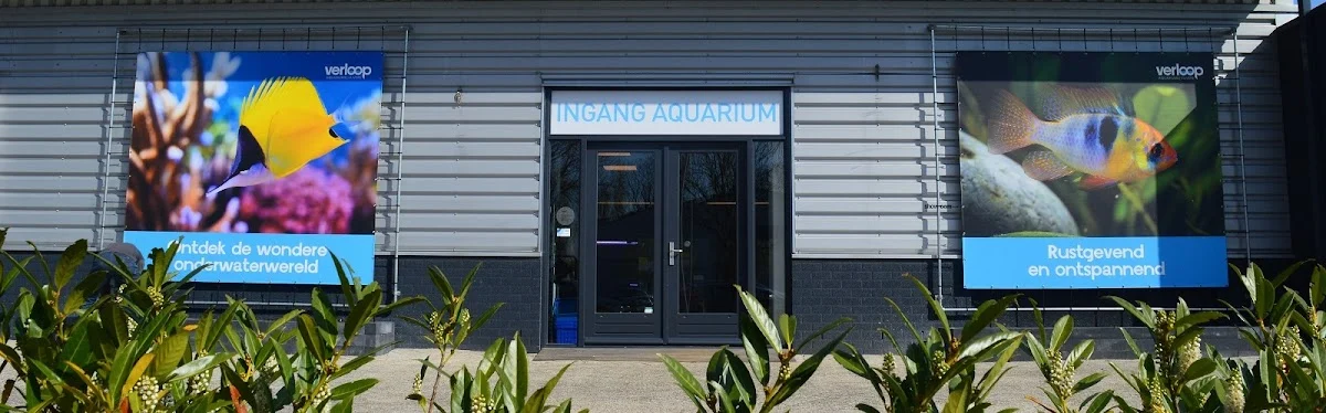 Verloop Aquariumspeciaalzaak - 6