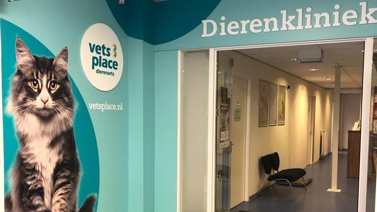 Vets Place Dierenarts Arnhem