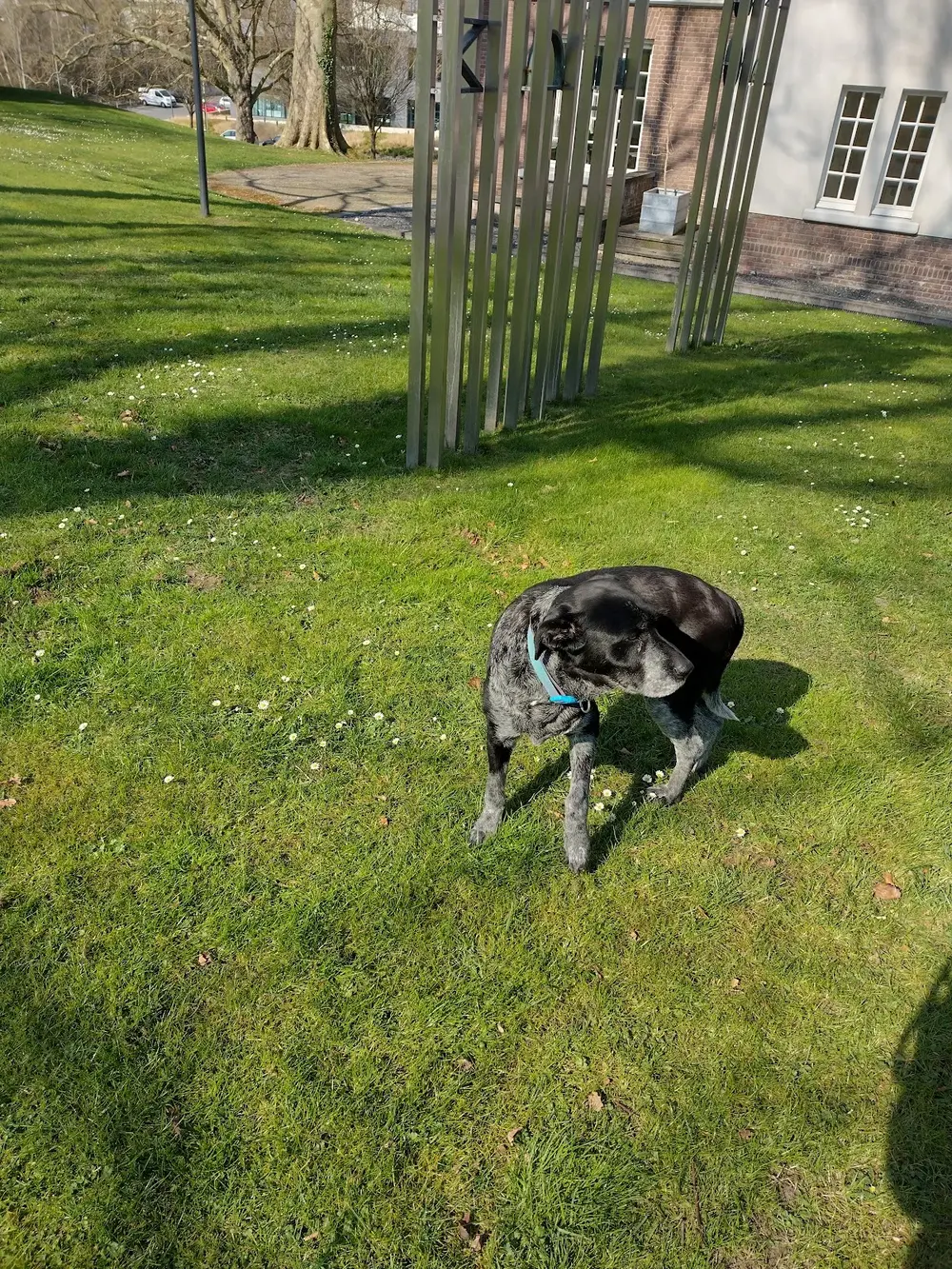 Vets Place Dierenarts Heerlen - Woonboulevard - 2
