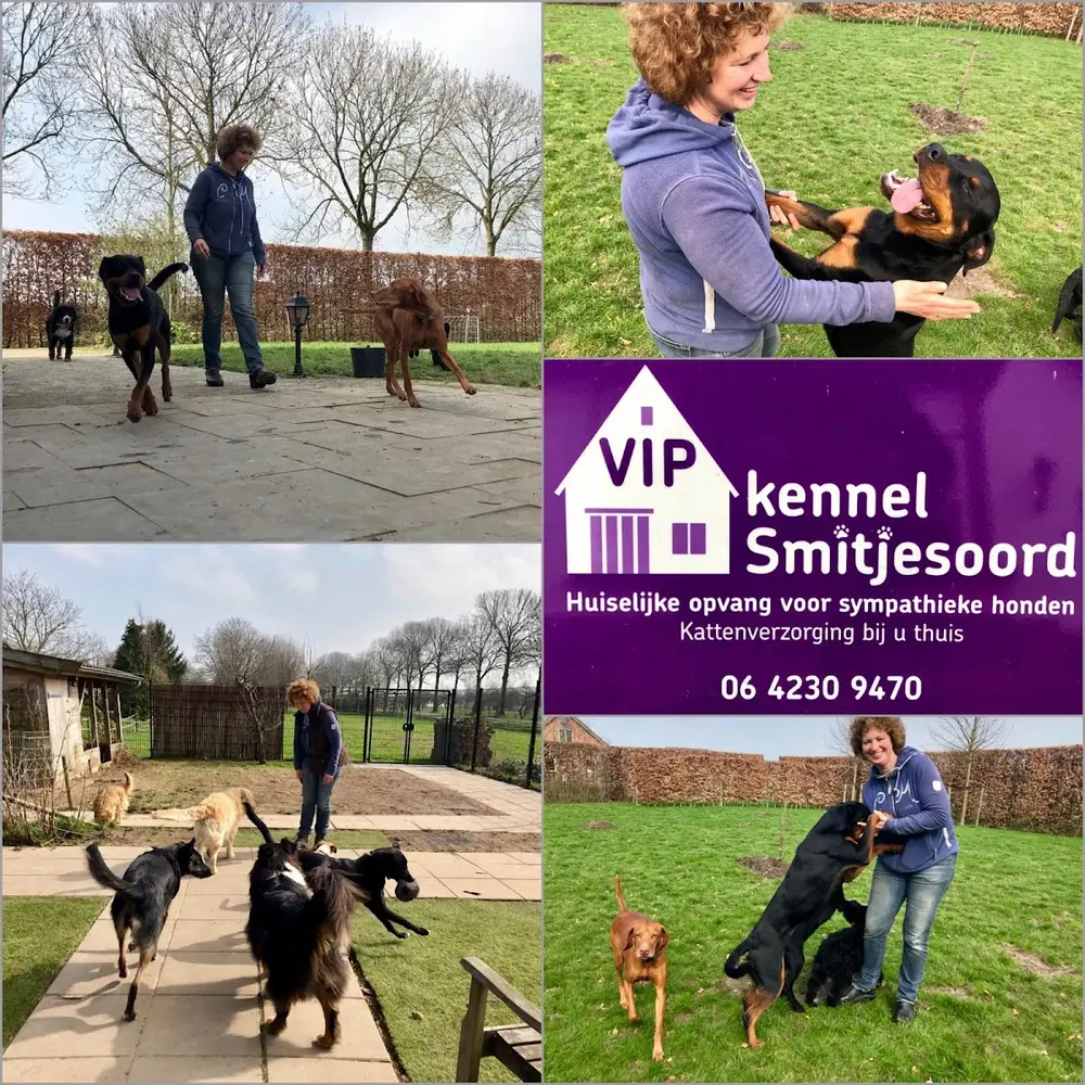 VIPkennel Smitjesoord/ JeanNetwerk