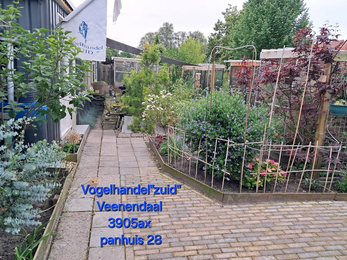 Vogelhandel "Zuid"