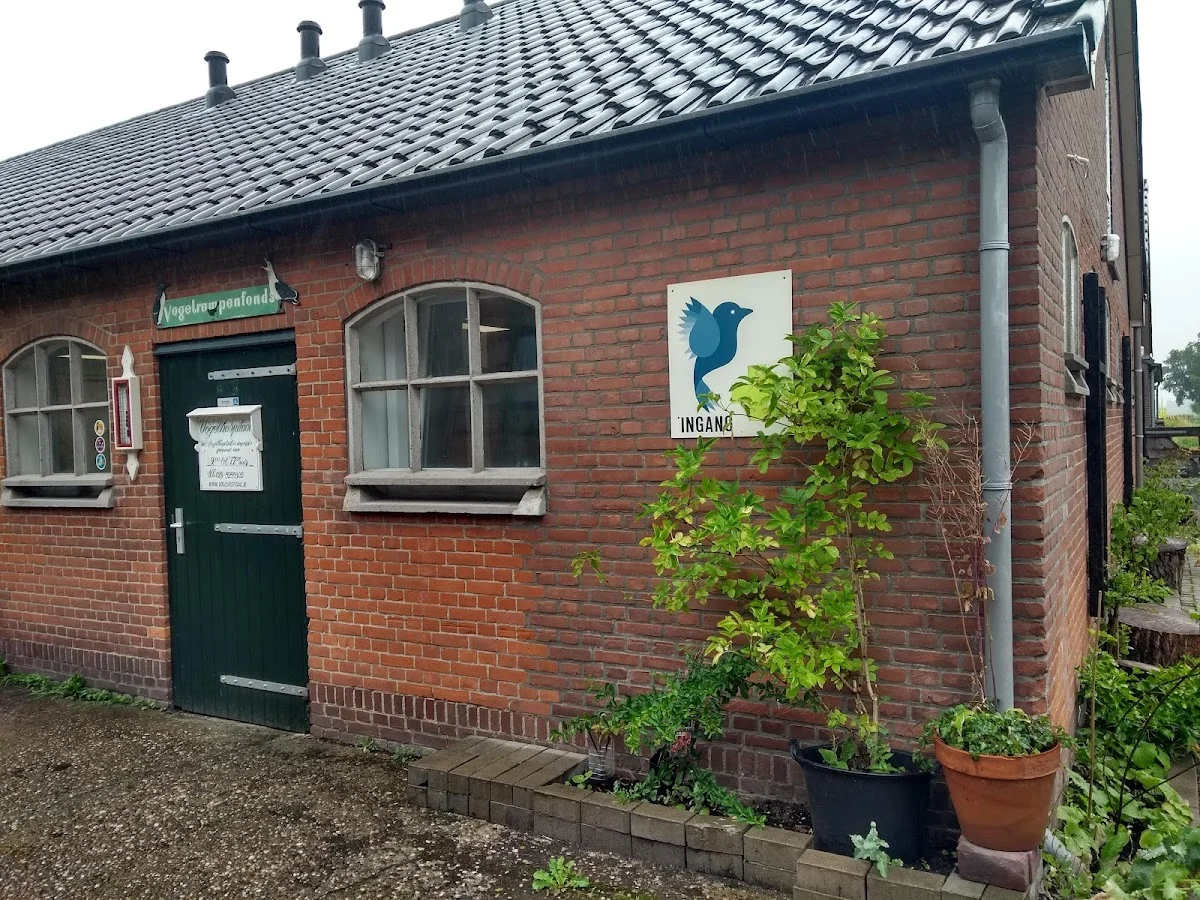 Vogelhospitaal Haarlem
