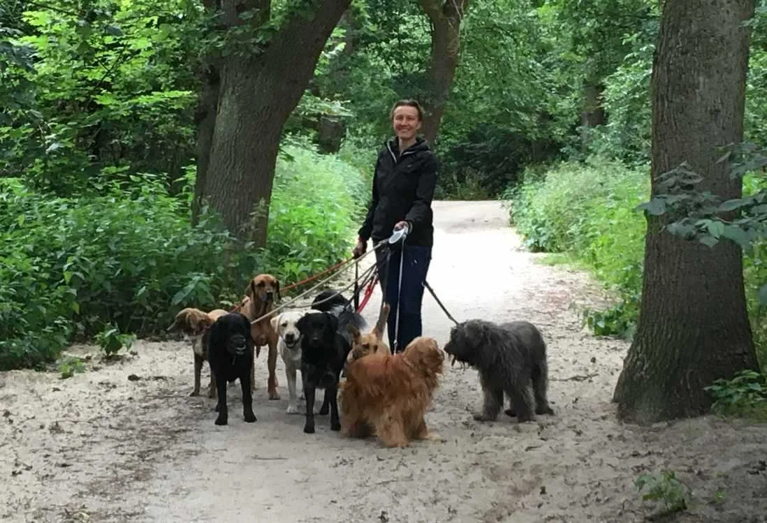 WalktheDogs - 2