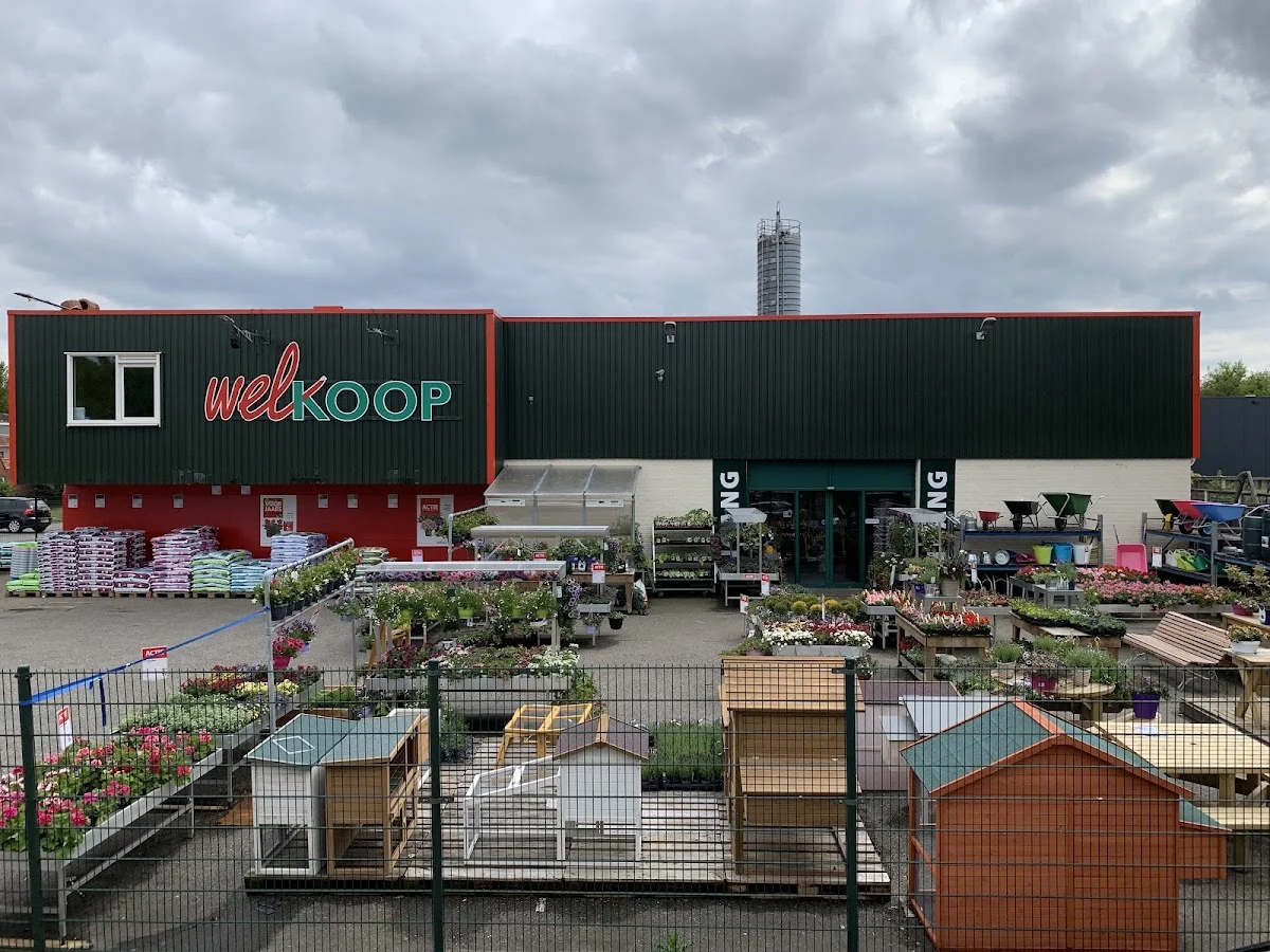 Welkoop Losser