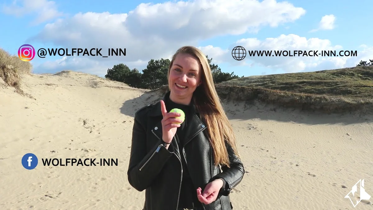 Wolfpack-inn - 2