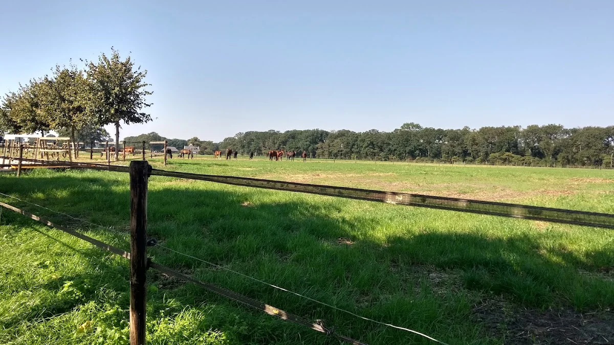 Woudenberg Vleesvarkens- en Paardenopfok
